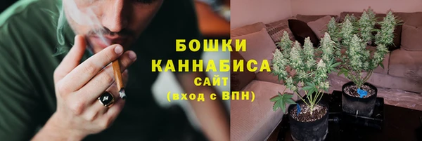 гидропоника Алзамай